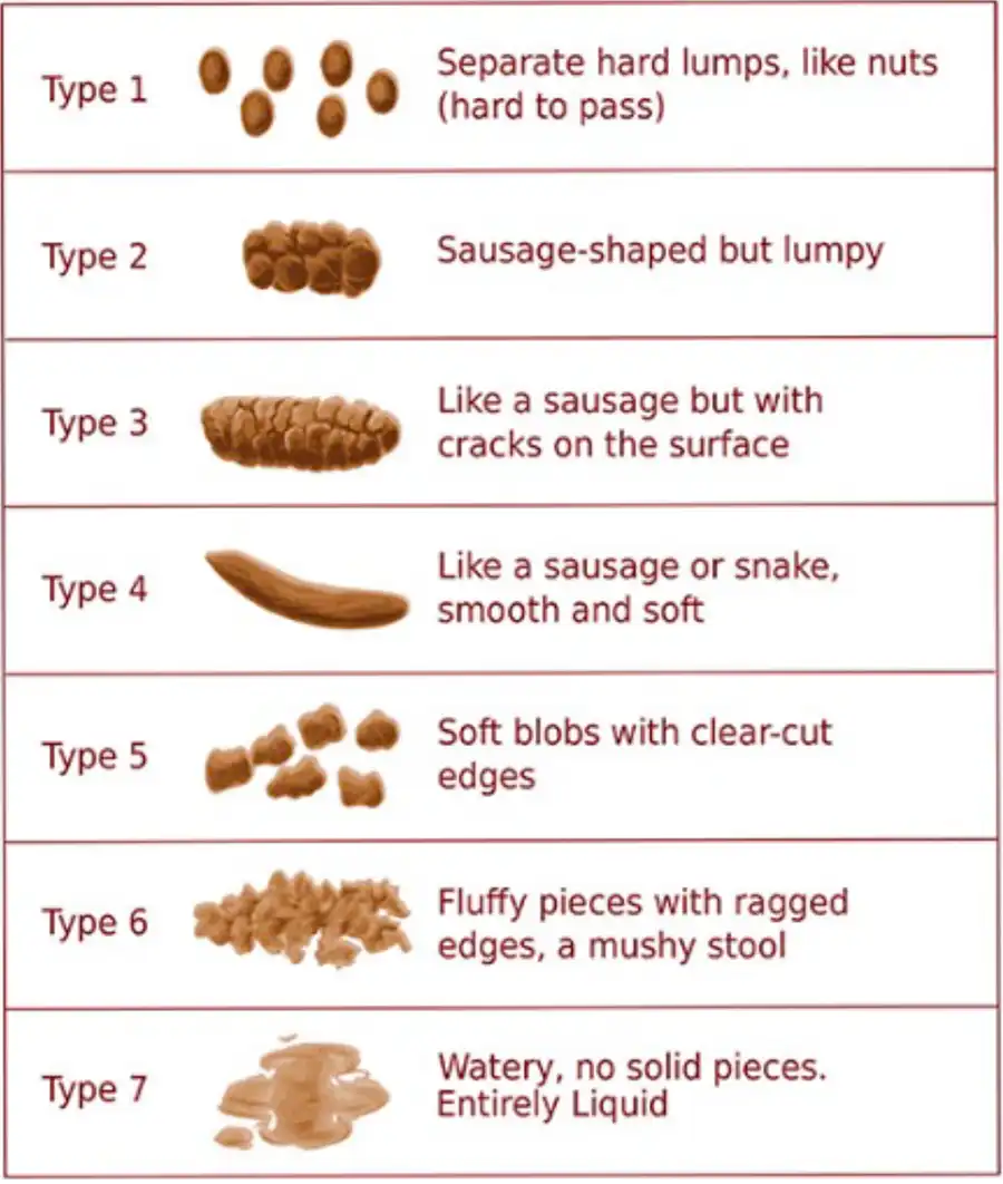 Bristol Chart
